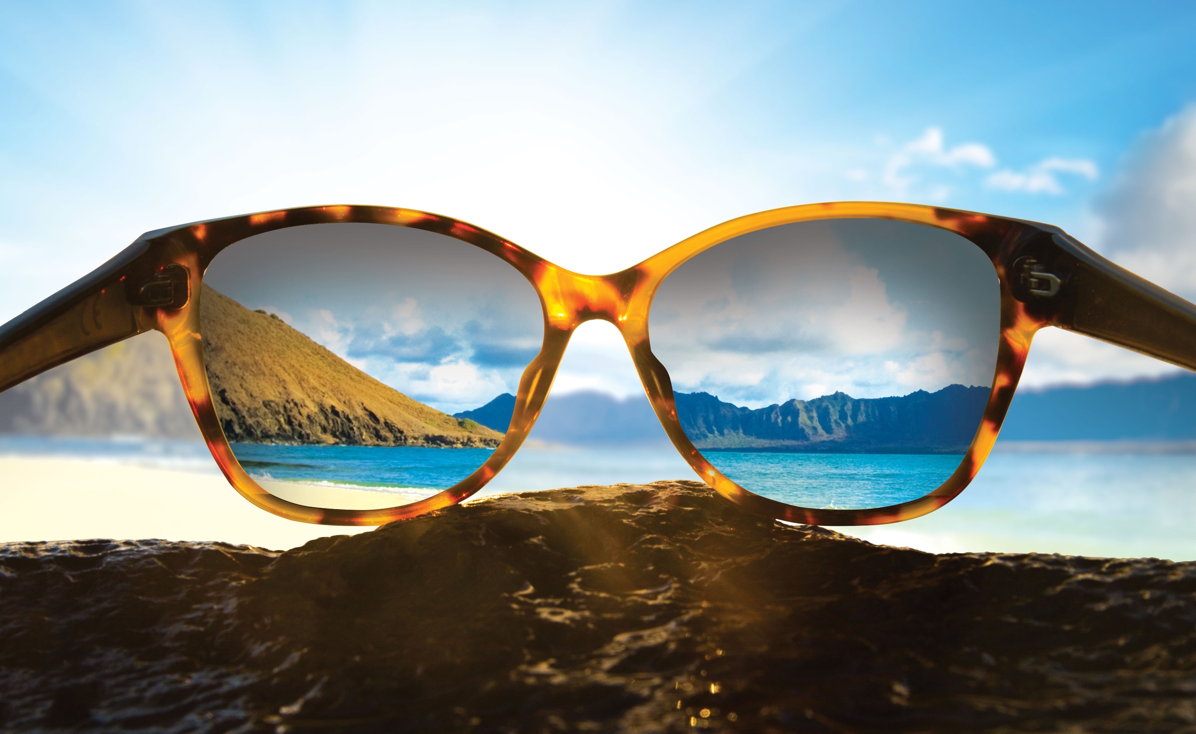 Goblin | Carve | Sunglasses | Adult | Tortoise | Polarised Lens | Sunglasses  | Eye Wear | Sunnies - Surf Shops Australia
